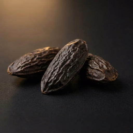 פול טונקה